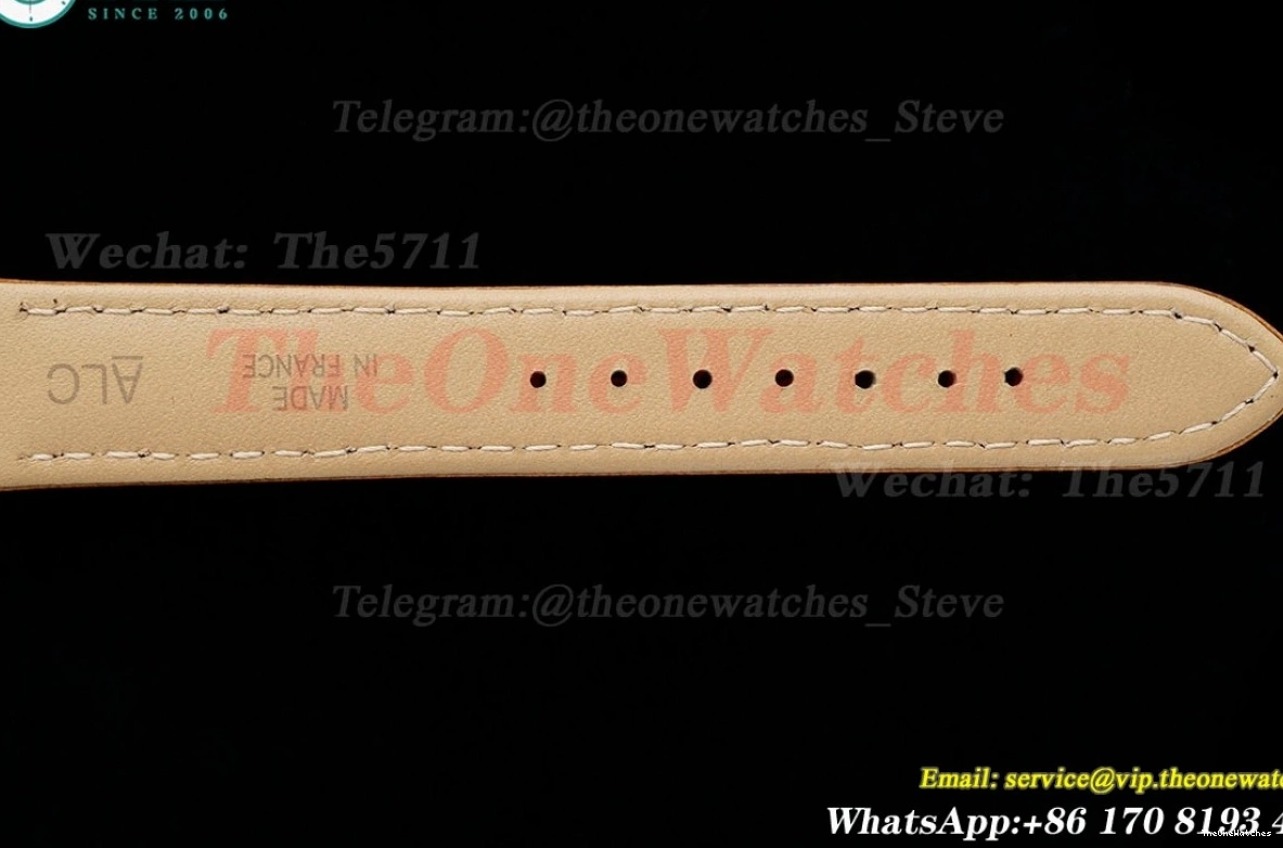 LE AF Dumont RG Silver Dial Brown Santos Quartz 1203